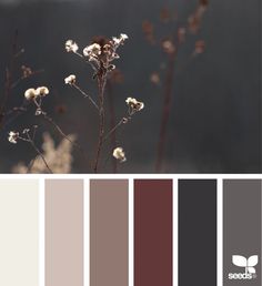 the color scheme is brown, gray and white with some flowers in it's center