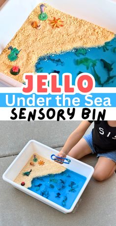 a child playing with sand and sea animals