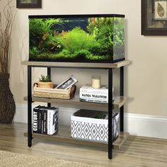 a fish tank sitting on top of a shelf next to a bookcase filled with books