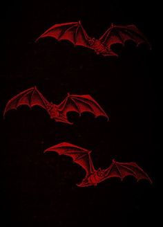 three red bats flying in the night sky