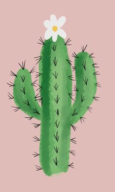 a green cactus with a white flower on it's head, against a pink background