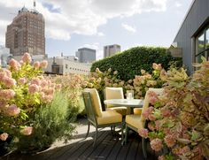 an outdoor patio with yellow chairs and pink flowers in the foreground, and tall buildings in the background