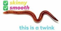 a red worm with the words skinnyy smooth on it's back and side