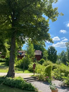 there is a tree in the middle of this yard with many plants and trees around it