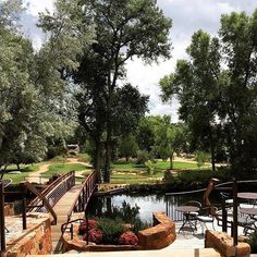 a wooden bridge over a small pond next to a lush green park filled with trees