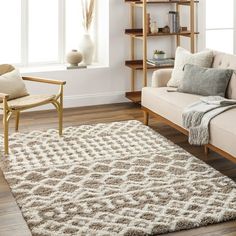 a living room filled with furniture and a white rug