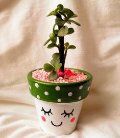 a potted plant with a face painted on it's side and pink gravel in the middle