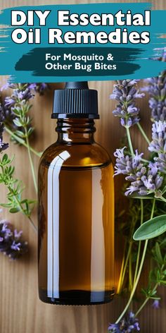 A brown essential oil bottle surrounded by fresh lavender, representing DIY remedies for mosquito and bug bites. Essential Oils For Bug Bites, Oils For Bug Bites, Essential Oils Bug Bites, Itchy Bug Bites, Bug Bite Relief, Bite Relief, Roller Bottle Recipes, Bug Bite