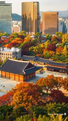 The Seoul skyline, which mixes traditional and modern architecture, with trees turning deep fall colors of red, gold and burnt orange. Korea Autumn Aesthetic, Fall In Seoul, Fall In Korea, Seoul Itinerary, Autumn In Korea, Seoul Korea Travel, Nami Island, Urban Forest, South Korea Travel