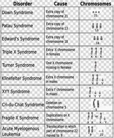 an image of the different types of symbols in english and chinese characters, with their corresponding names