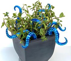 an octopus planter with blue tentacles and green leaves