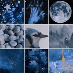 a collage of photos with blue and white colors, stars, moon, trees, and clouds