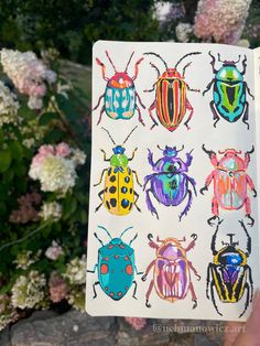 a person holding up a sticker with different colored bugs on it and flowers in the background