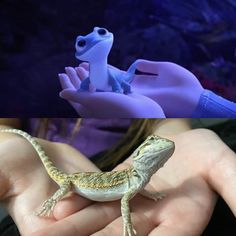 a lizard is sitting on someone's hand next to an image of a frog