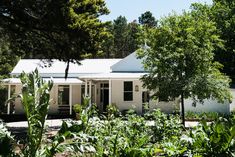 a white house surrounded by trees and plants