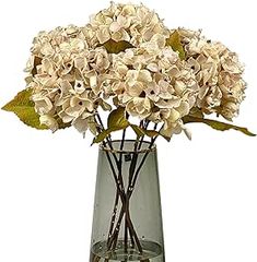 a vase filled with white flowers on top of a table