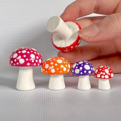 a hand is picking up the top of a small mushroom with four smaller mushrooms in front of it