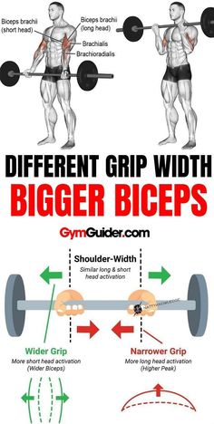 Long Head Bicep Workout, Incline Bench, Gym Tips, Body Workout Plan, Workout Chart