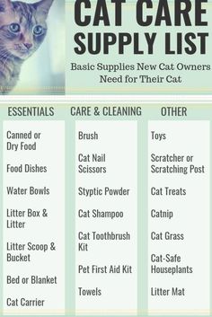 a cat care supply list for cats