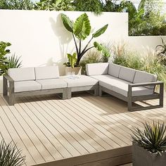 a white couch sitting on top of a wooden floor next to a plant filled wall