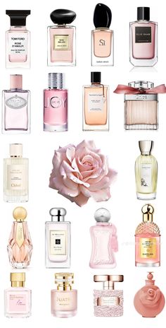 Why Do You Smell So Good, Light Feminine Perfume, Perfume Pictures, Seductive Perfume, Shimmer Body Oil, Makeup Accesories