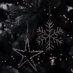 two snowflakes hanging from the branches of a christmas tree