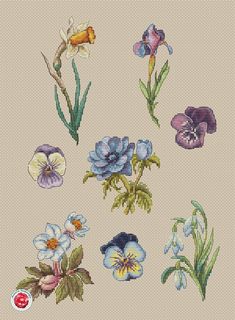 cross stitch flowers are shown in different colors