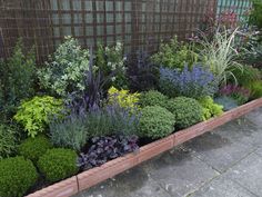 a garden filled with lots of green and purple flowers next to a brick fenced in area