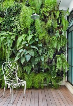 a white chair sitting on top of a wooden floor next to a lush green wall