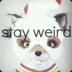 an animal with the words stay weird written on it's face in front of a white background