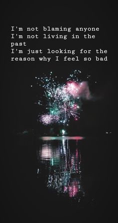 fireworks are lit up in the night sky with a poem written below it that reads, i'm not flaming anyone i'm not living in the past living in the park