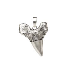 Tooth Charm, Vans Top, Shark Tooth, Shark Teeth, Sharks, Statement Jewelry, Vintage Looks, Antique Silver, Charm Necklace