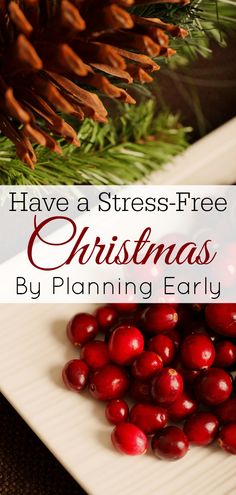 Best Christmas Messages, Organized Christmas, Thrifty Christmas, Christmas Journals, Christmas Tips, Christmas Tress, Affordable Christmas Gifts, Winter Pins