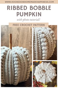 a crocheted pumpkin with the words ribbed bobble pumpkin written in white