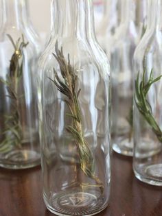 several glass bottles with plants in them sitting on a table