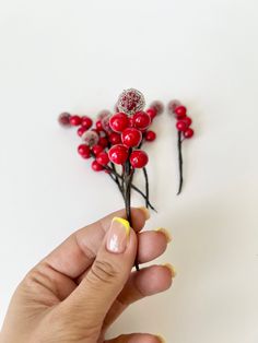 someone is holding some red berries in their hand and the flowers are on top of each other