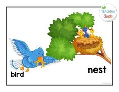 a bird nest and another bird sitting on top of a tree with the words nesting