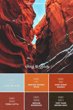 an image of the color palettes used in this project are red, orange, and blue