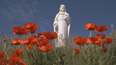 there is a statue in the middle of some red flowers and blue sky behind it