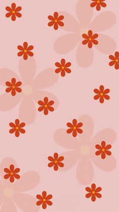 red and white flowers on a pink background