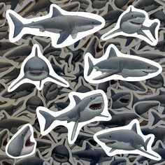 several shark stickers are in the middle of a group of sharks