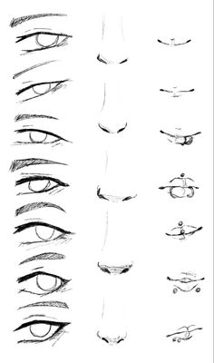 various types of eyes drawn in pencil