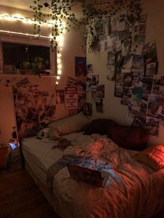 an unmade bed in a dorm room with pictures on the wall and plants hanging from the ceiling