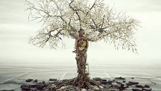 a man standing next to a tree in the middle of a road with rocks on it