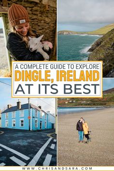 a complete guide to explore dingle, ireland at its best with pictures of people and their pets