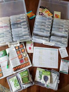 several plastic containers filled with different types of plants and seed packets on top of a wooden table