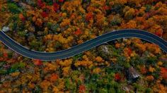 an aerial view of a winding road surrounded by trees in the fall with colorful foliage