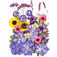 an arrangement of colorful flowers on a white background