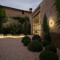 an outdoor area with lights and plants