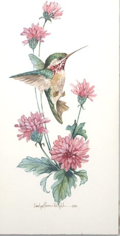 a watercolor painting of a hummingbird and pink flowers